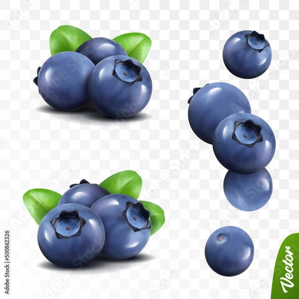 Fototapeta 3D realistic blueberry set, two lying heaps of berries with leaves, falling bilberries