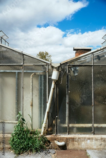 Obraz gewächshaus rundgang