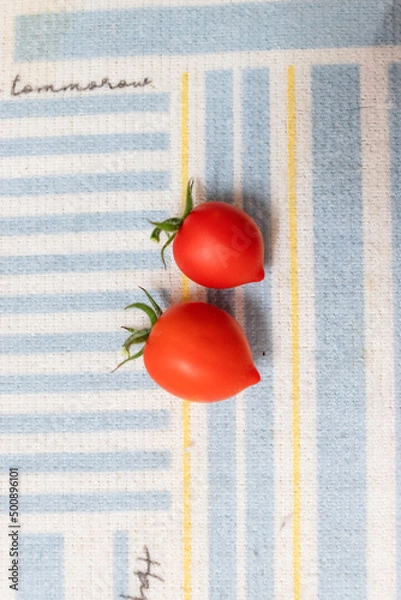 Obraz ミニトマト