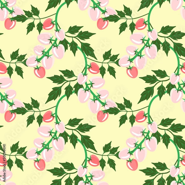 Obraz Vector - Tomatoes plant watercolor illustration.