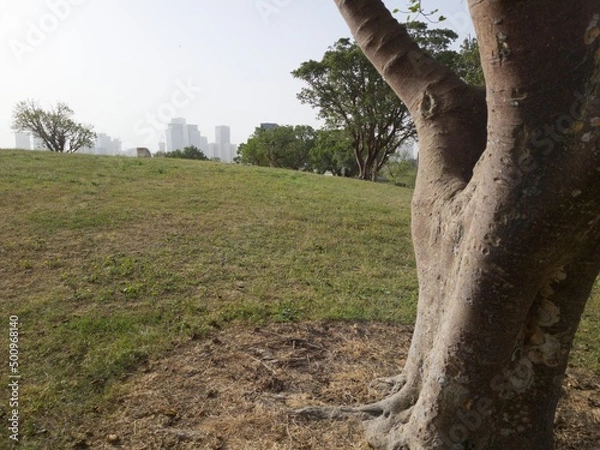 Obraz Green Beautiful View of Park Edith Wolfson, Tel Aviv, Israel