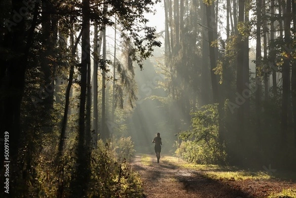 Fototapeta A man runs along a forest path on a foggy morning