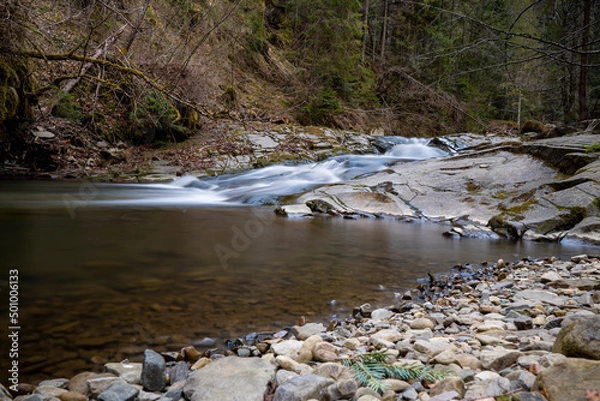 Fototapeta Mountain stream in spring in the stony forest. Beautiful river flowing by the forest during the Spring. Carpathian, Ukraine spring forest creek