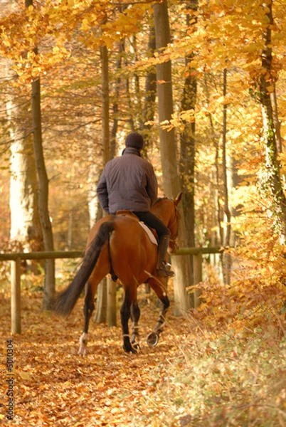 Obraz promenade à cheval