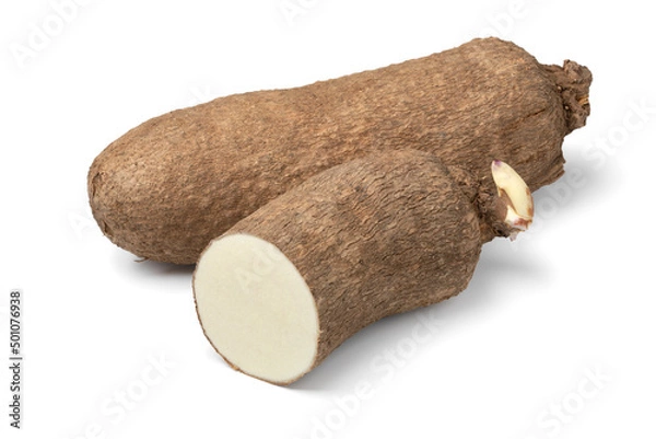 Obraz  Whole and halved raw African yam isolated on white background