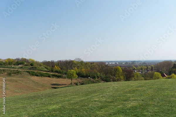 Fototapeta Idyllic and sunny day in Oderbruch, Brandenburg, Germany
