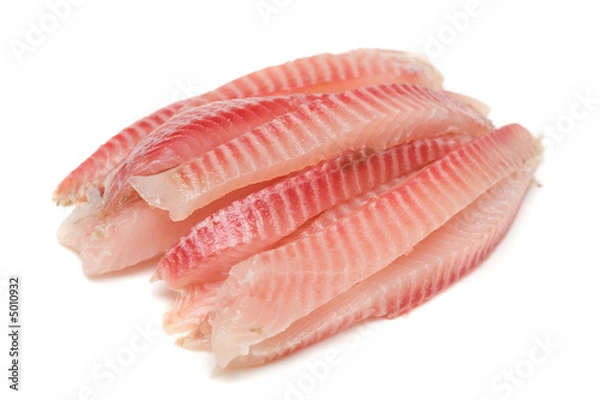 Obraz Fish fillet