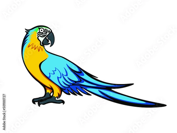 Obraz Happy cute cartoon macaw