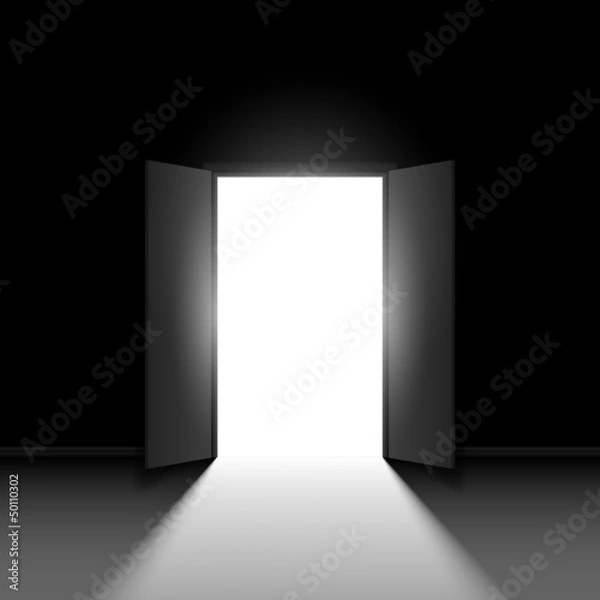 Obraz Double open door