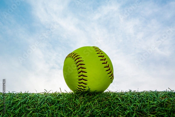 Obraz A green softball on the grass with a blue sky in the background.