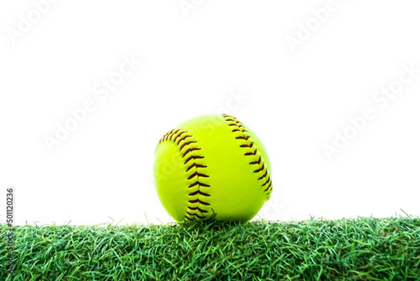 Obraz green softball on grass with white background