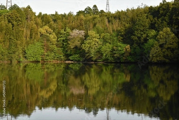 Obraz ため池　鏡写し　森　林　日本の風景　田舎