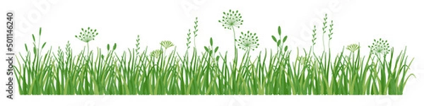 Obraz Green grass border, meadow herb 
and grass, vector illustration 