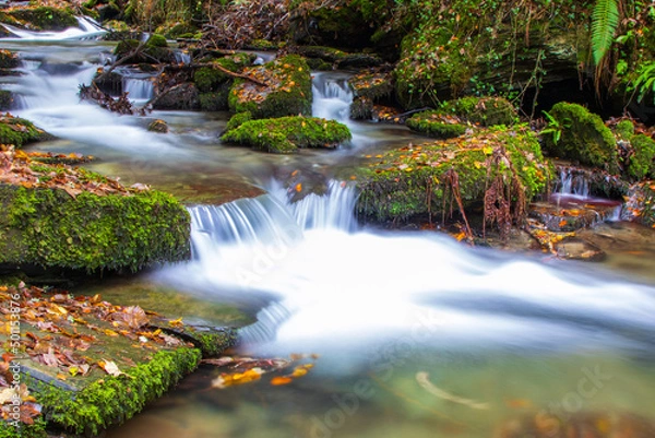 Fototapeta A calming Cornish woodland stream, on a cold November day.  A slow shutter speed makes the babbling water milky, adding to the serenity.  There are clear signs of autumn in the stream.