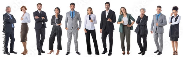 Obraz Business people full body portraits on white