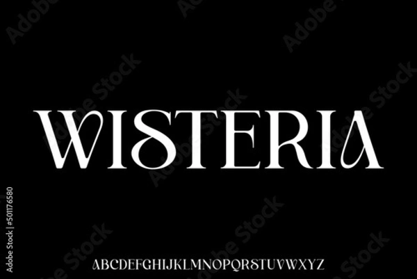 Obraz Unique and elegant alphabets display font vector