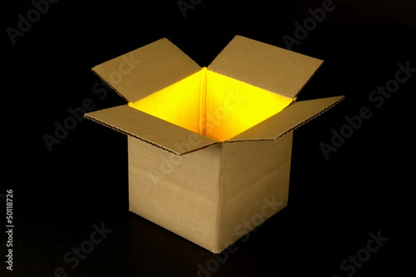 Obraz Thinking creatively outside the box showing box