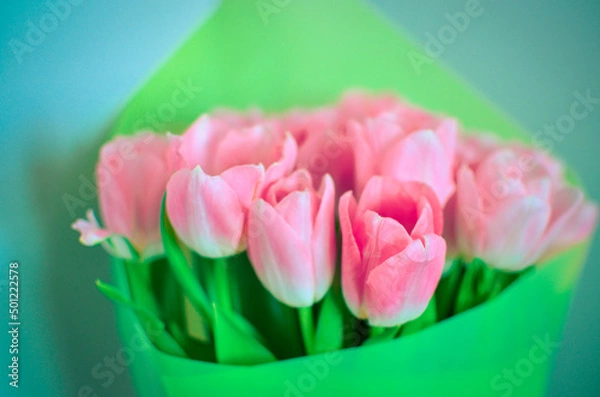 Obraz Tulips flowers bouquet with pink tulips in green paper