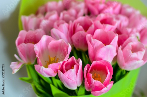 Obraz Tulips flowers bouquet with pink tulips in green paper