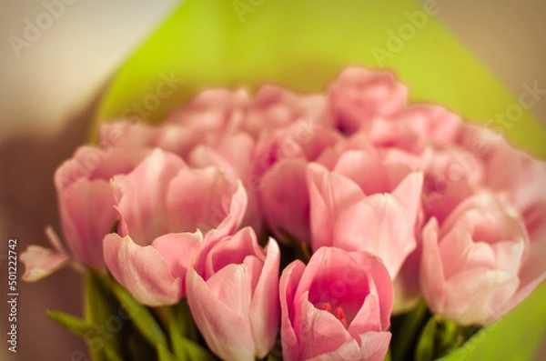 Obraz Tulips flowers bouquet with pink tulips in green paper