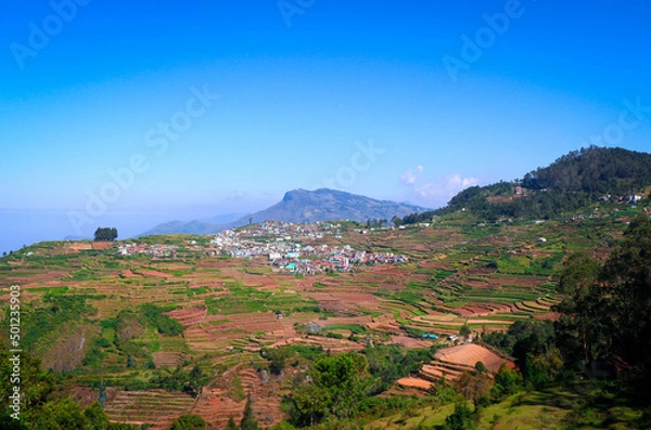 Fototapeta Eye-catching View with hills in Poombarai Village, Kodaikanal, Tamil Nadu, India
