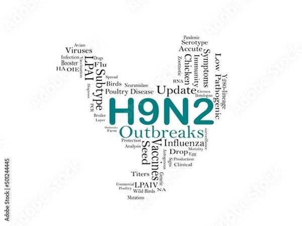 Fototapeta Avian Influenza Virus Subtype H9N2 Outbreaks in Chickens, Illustrations