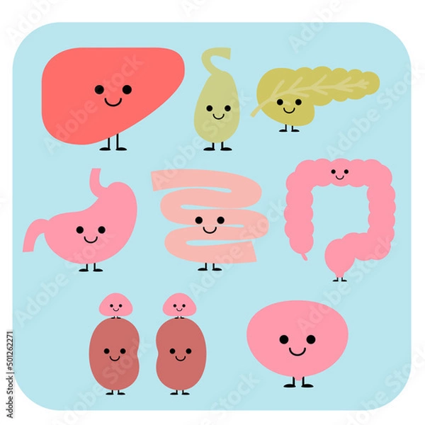 Fototapeta かわいい体の仲間達