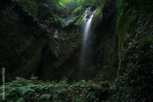 Obraz 流れに身を任せて