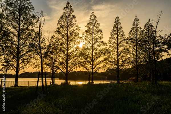Obraz 夕暮れが迫る湖の風景
