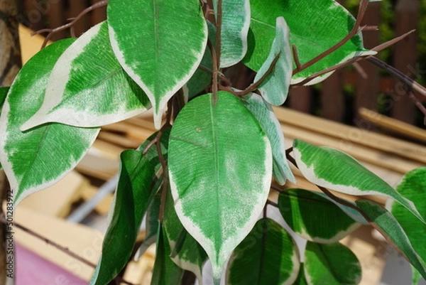 Fototapeta Grüne Blätter am Kunstbaum