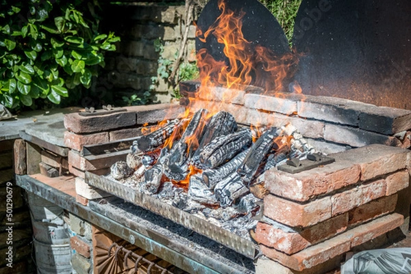 Obraz Barbecue 001