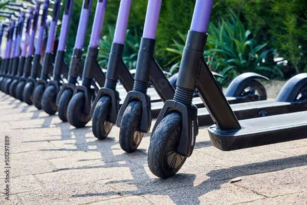 Obraz Group of electric rental scooters is parked on the street