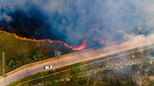 Obraz Beginning of the fire in a grassy field near the edge of the highway