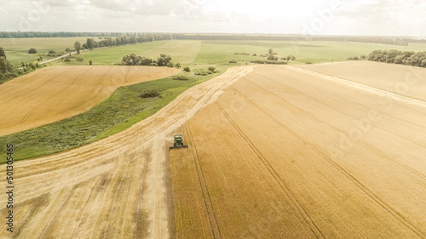 Obraz Aerial view combine harvester harvesting on the field