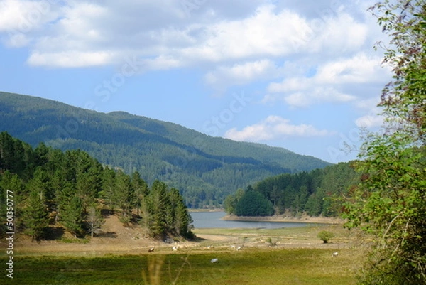 Obraz paesaggio sila lago