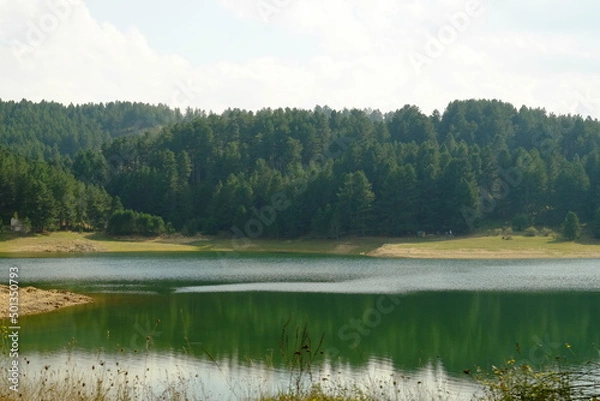 Obraz lago sila alberi