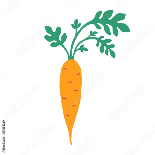 Obraz Cute carrot icon. Vector flat hand drawn illustration in cartoon style	