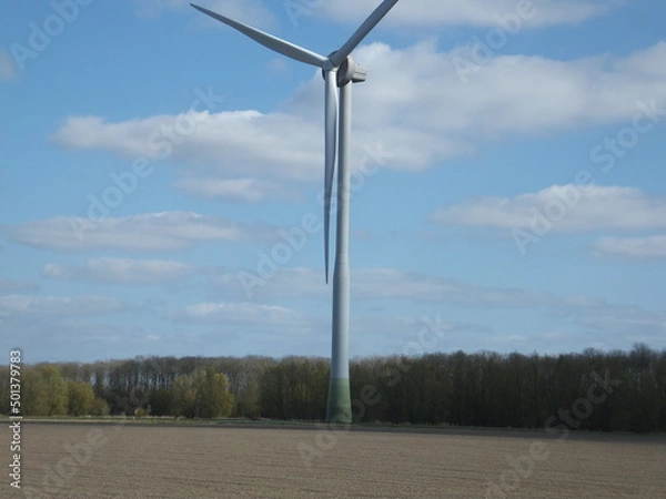 Obraz Tudor Schleurholts