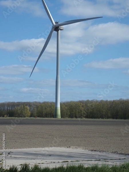 Obraz Tudor Schleurholts