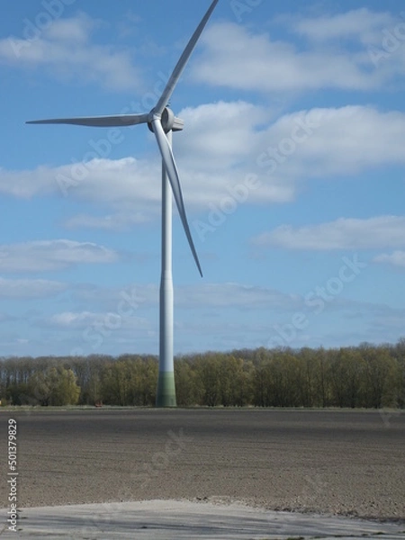 Obraz Tudor Schleurholts