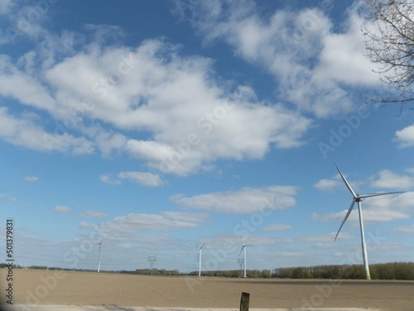 Obraz Tudor Schleurholts