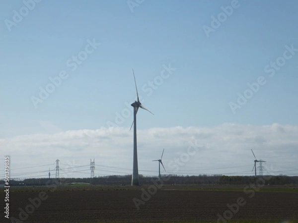 Obraz Tudor Schleurholts