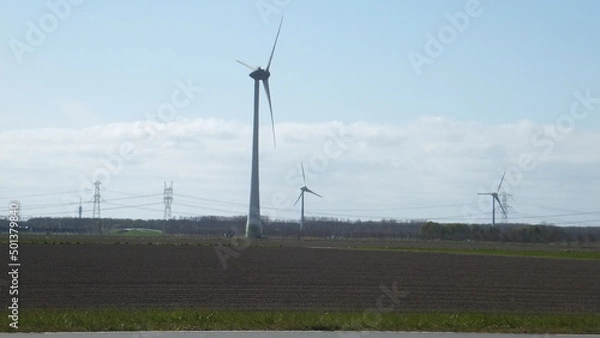 Obraz Tudor Schleurholts