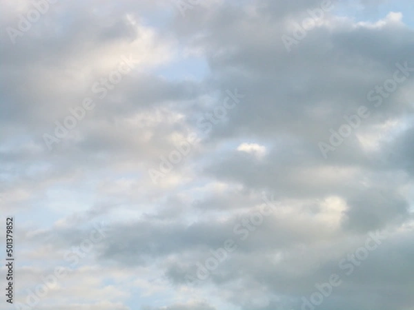 Obraz Tudor Schleurholts