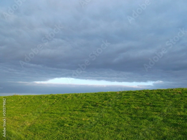 Obraz Tudor Schleurholts