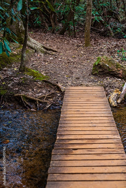 Obraz Bridge Over Babbling Brook