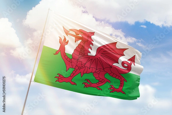 Obraz Sunny blue sky and a flagpole with the flag of wales