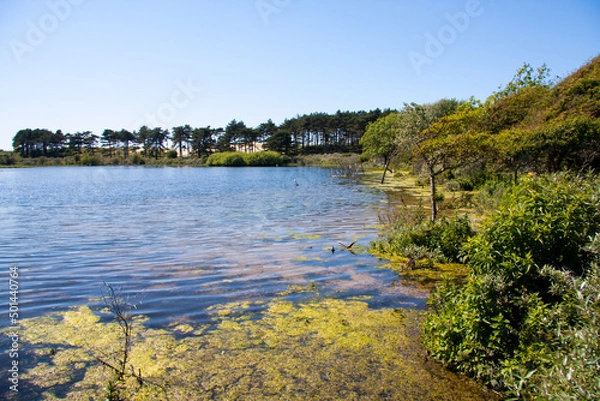 Fototapeta Lake in the Netherlands