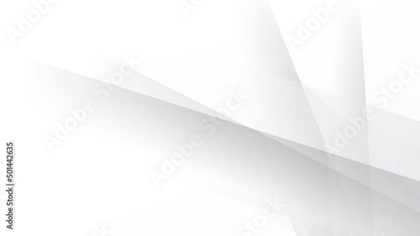 Obraz Abstract white vector background, for design brochure, website, flyer. Geometric white wallpaper for certificate, presentation, landing page