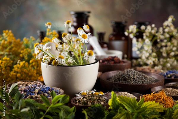 Obraz Alternative medicine, dried herbs and mortar on wooden desk background